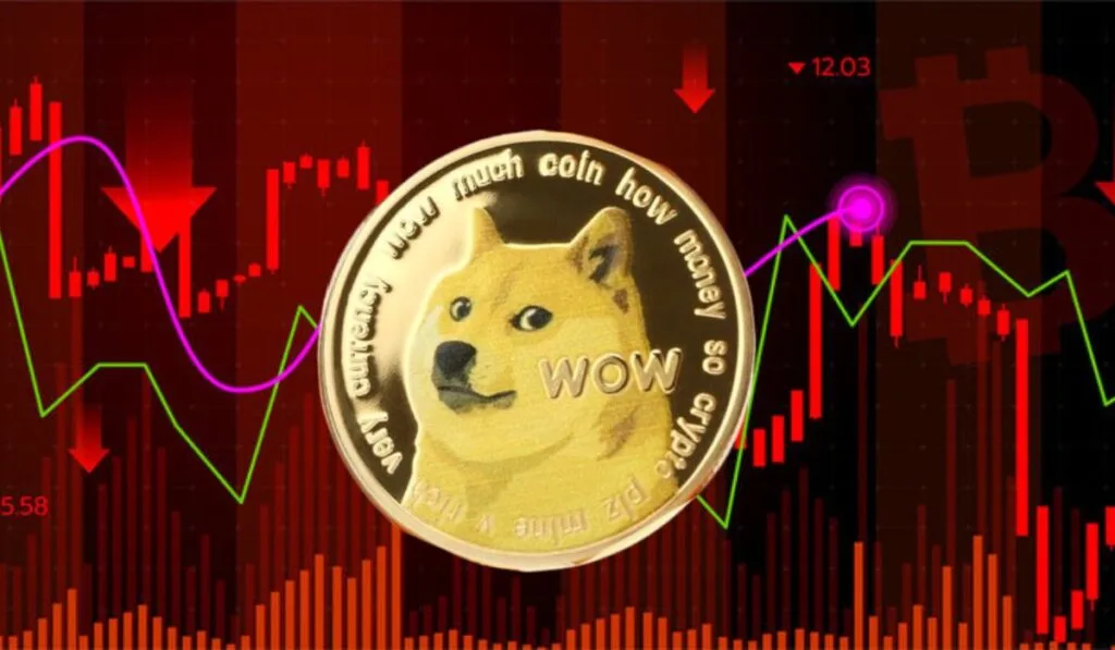 Dogecoin: The Meme Coin King? 1 dogecoin