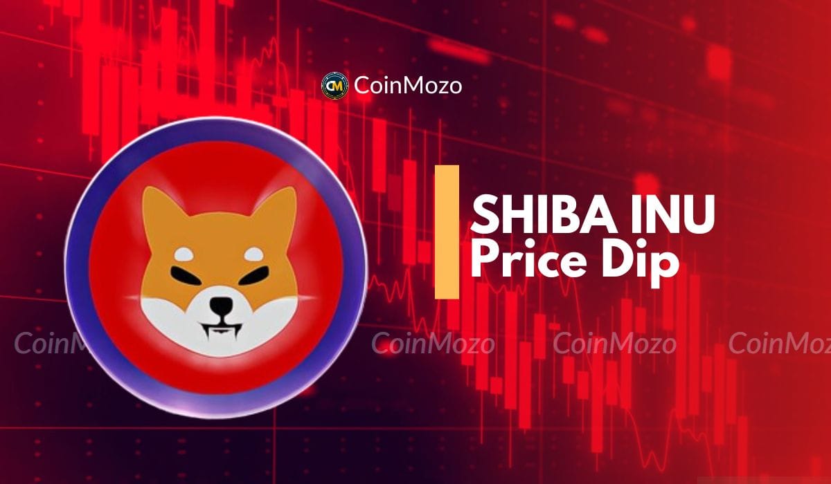 Shiba Inu Coin: 3.7% Drop Amid Coinbase Future's Soaring