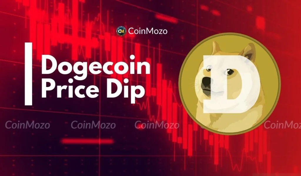 Dogecoin Sentiment Hits 2024 Lows: Opportunity or Risk? 1 Dogecoin