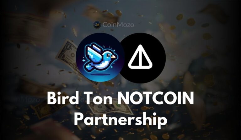 BIRD TON NOTCOIN partnership