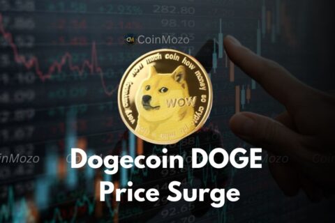 Dogecoin DOGE price surge