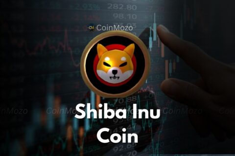 Shiba Inu coin price