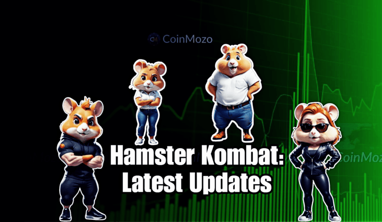 Hamster Kombat Skin Update