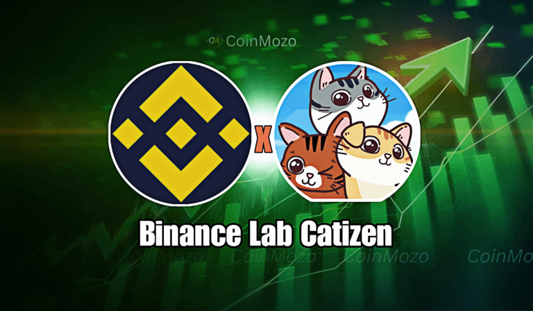 Binance Lab Catizen