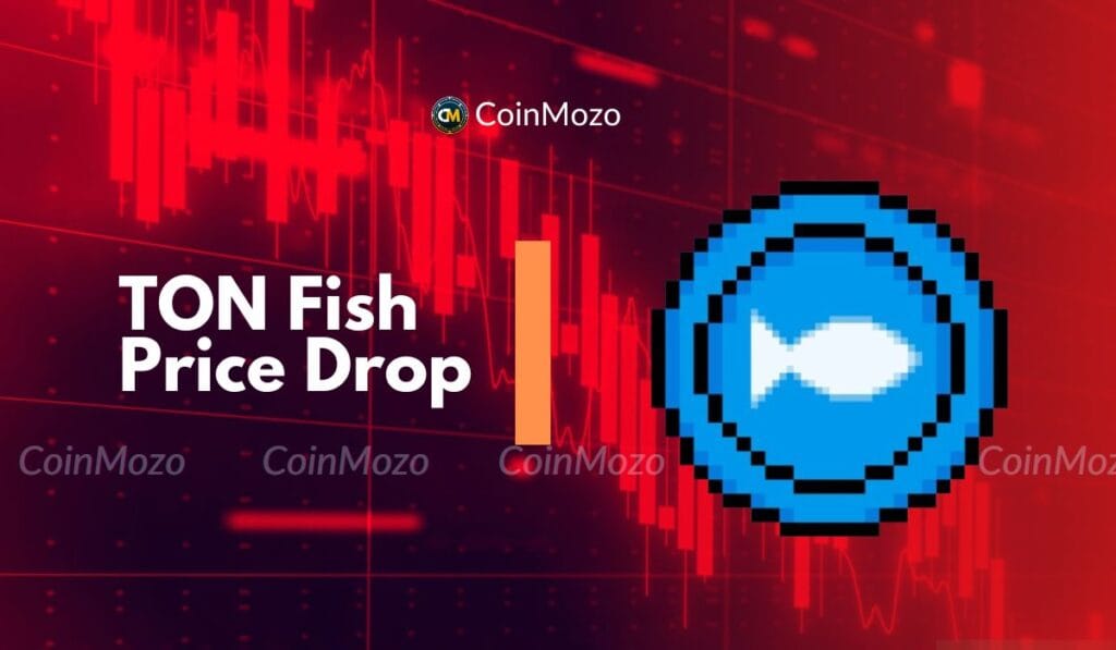 Ton Fish: Price Drop to 67% But Active Community Fights On 1 ton fish