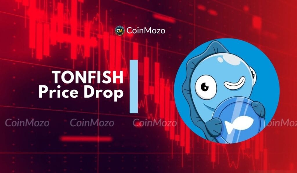 Ton Fish (FISH): Big 30.83% Price Drop, Time to Buy? 1 tonfish