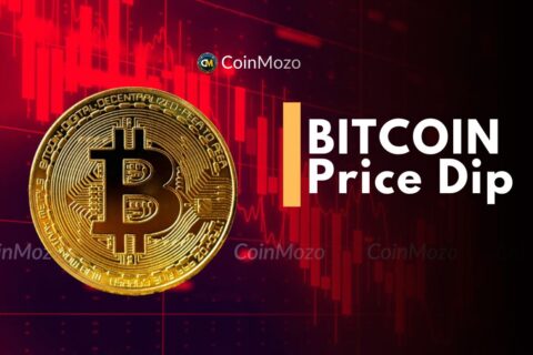 Bitcoin Price Dip