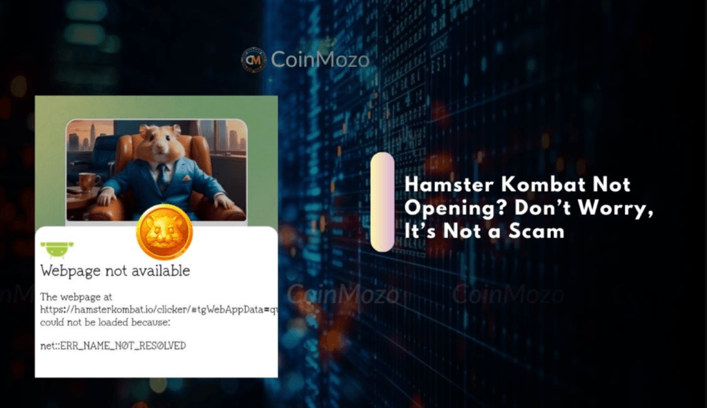 Hamster Kombat Listing: Why no New Airdrop Updates From $HMSTR Owners? 2 crypto news