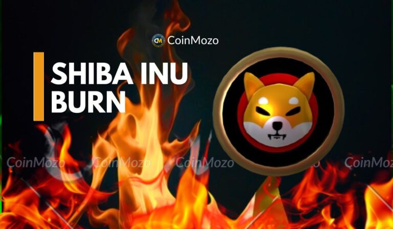 Shiba Inu coin burn