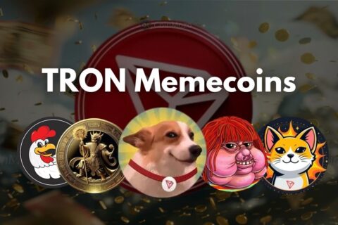 Tron memecoins