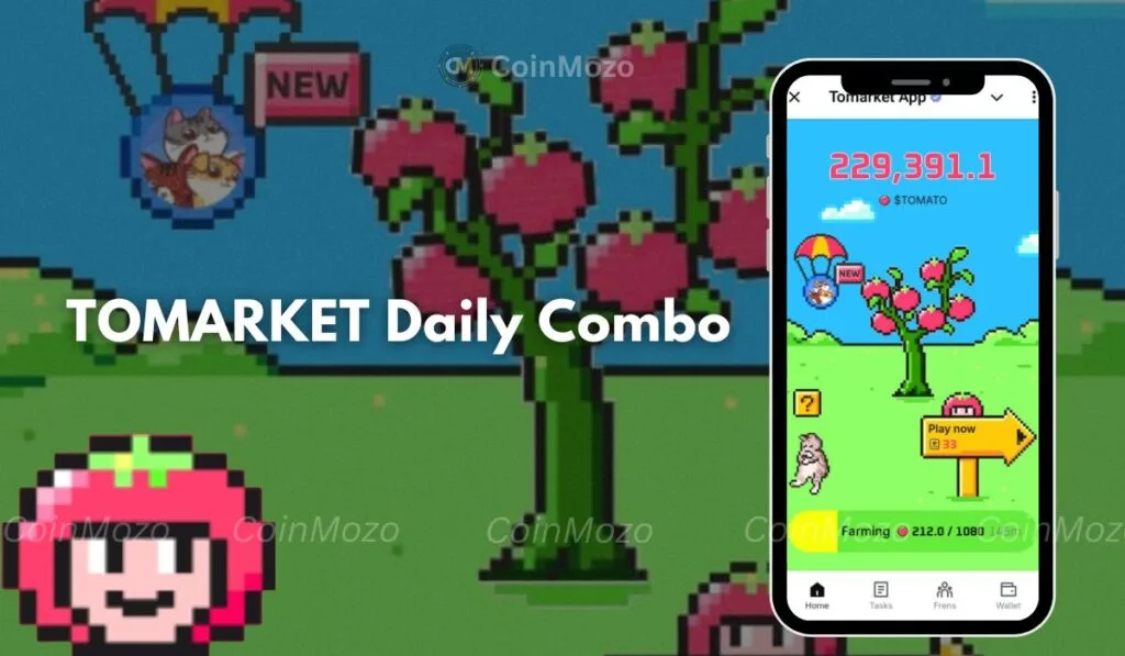 TOMARKET Daily Combo for 29 August, Get Bonus $2500 $TOMATO Tokens 1 Tomarket Daily Combo