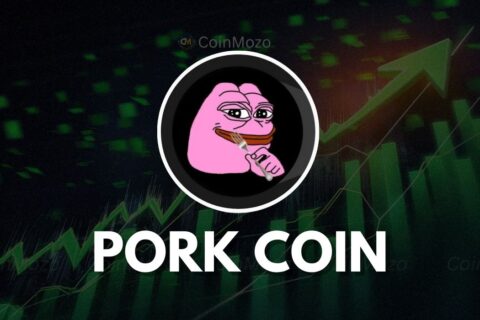 PORK coin