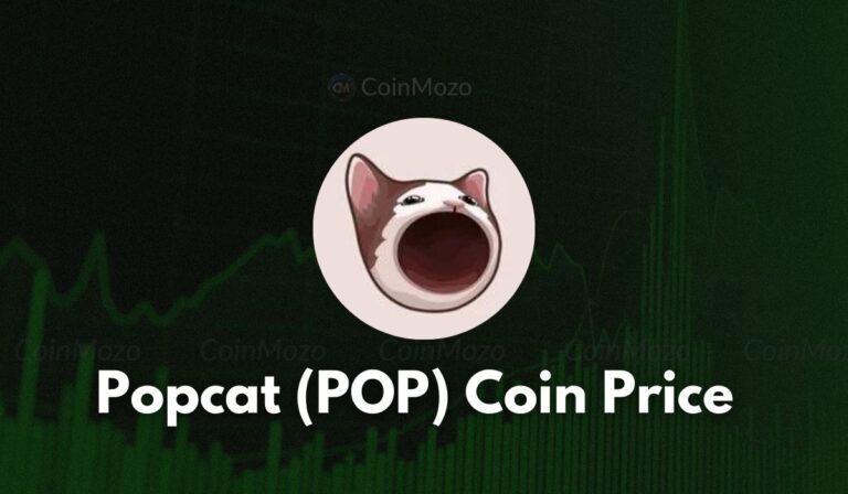 Popcat Coin Price