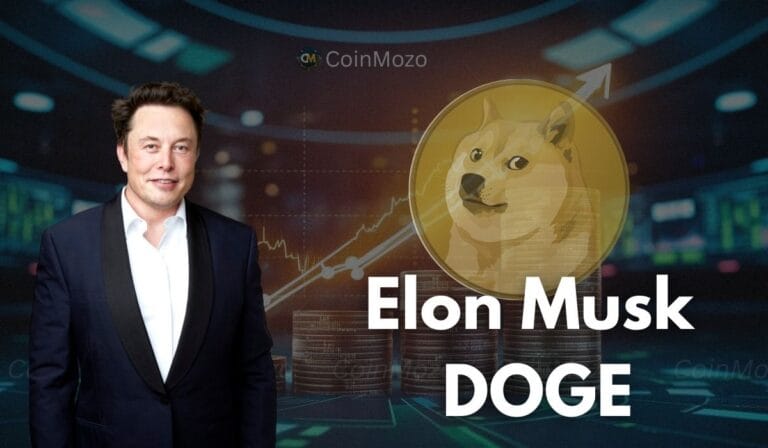 Elon Musk DOGE