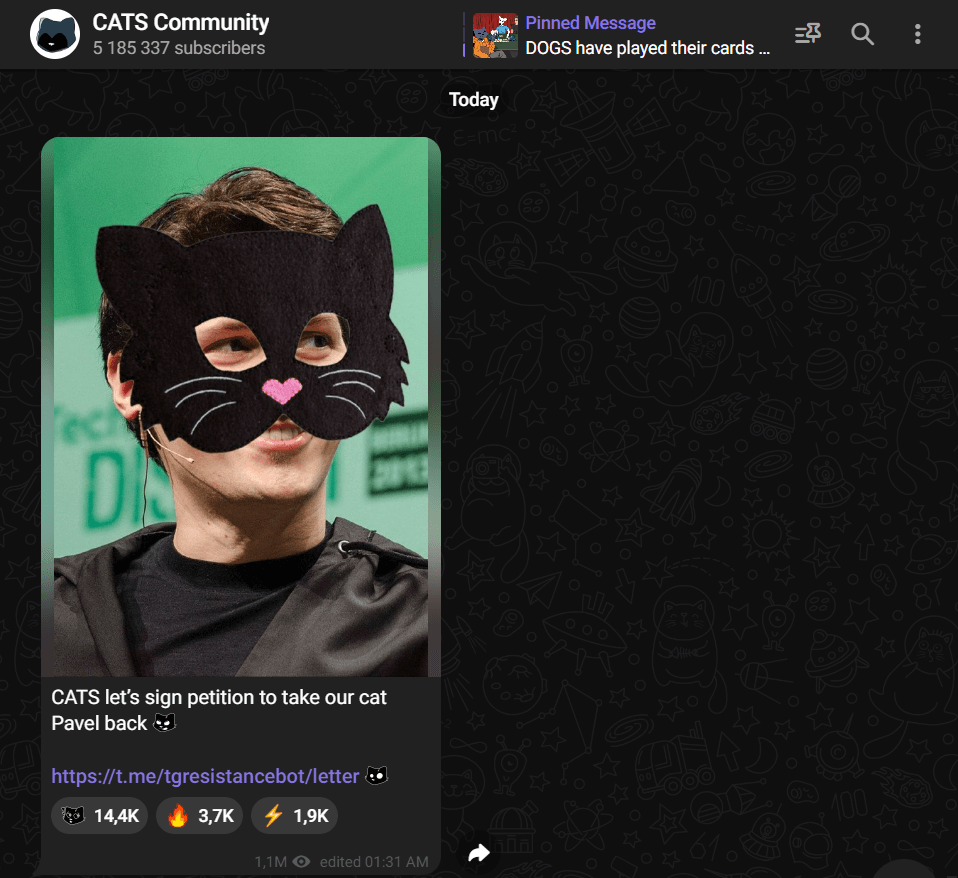 CATS Token Price: The Perfect Investment after $DOGS? 3 crypto news
