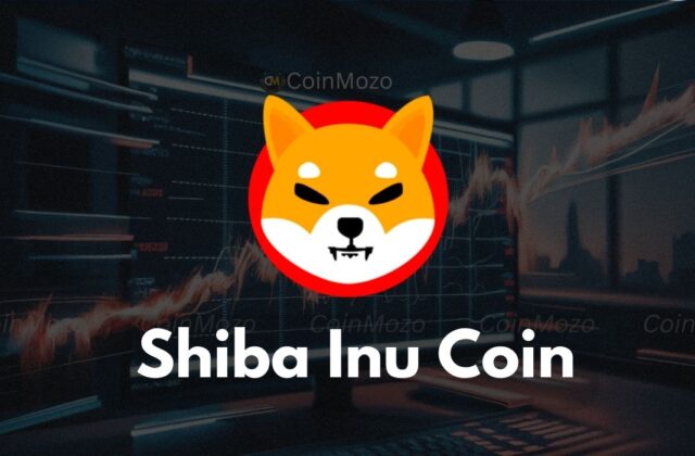 Shiba Inu coin