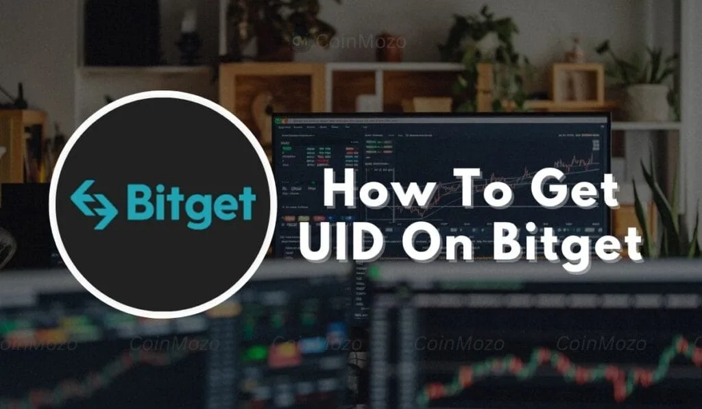 UID On Bitget