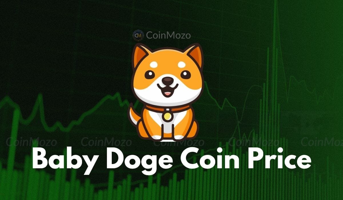 Baby Doge Coin Soars 102% After Binance Listing