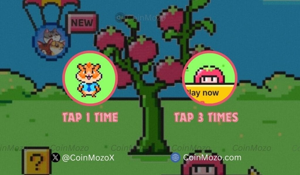 TOMARKET Daily Combo for 25th September, Get Bonus $2500 $TOMATO Tokens 1 crypto news