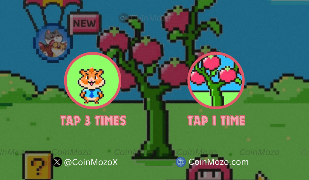 TOMARKET Daily Combo for 22nd September, Get Bonus $2500 $TOMATO Tokens 1 crypto news