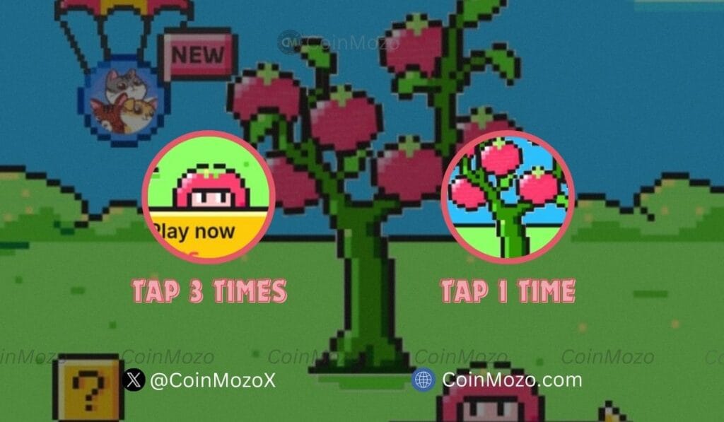 TOMARKET Daily Combo for 3rd September, Get Bonus $2500 $TOMATO Tokens 1 crypto news