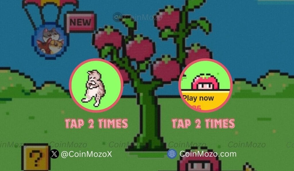 TOMARKET Daily Combo for 1st September, Get Bonus $2500 $TOMATO Tokens 1 crypto news