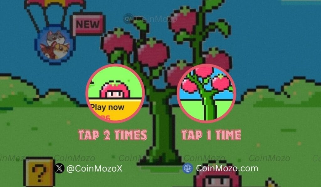 TOMARKET Daily Combo for 3rd September, Get Bonus $2500 $TOMATO Tokens 1 crypto news