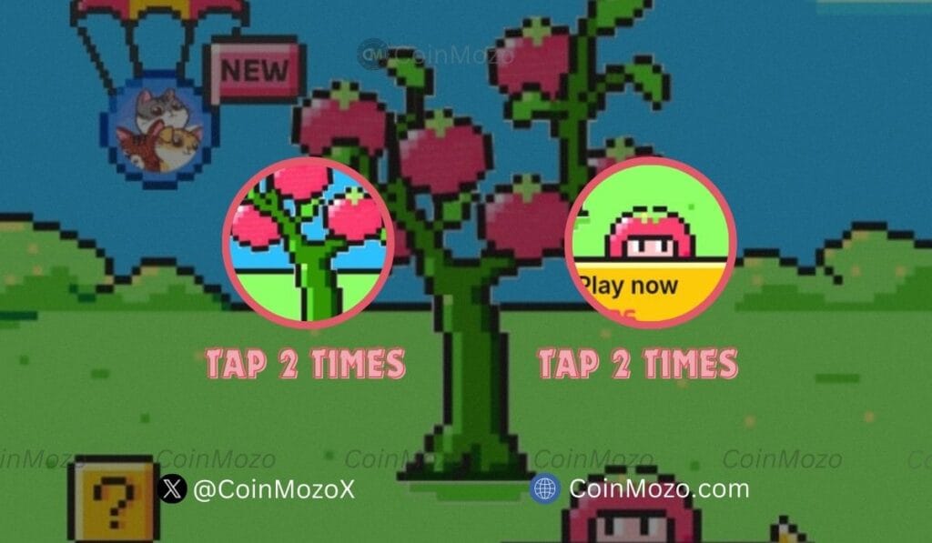 TOMARKET Daily Combo for 27th September, Get Bonus $2500 $TOMATO Tokens 1 crypto news