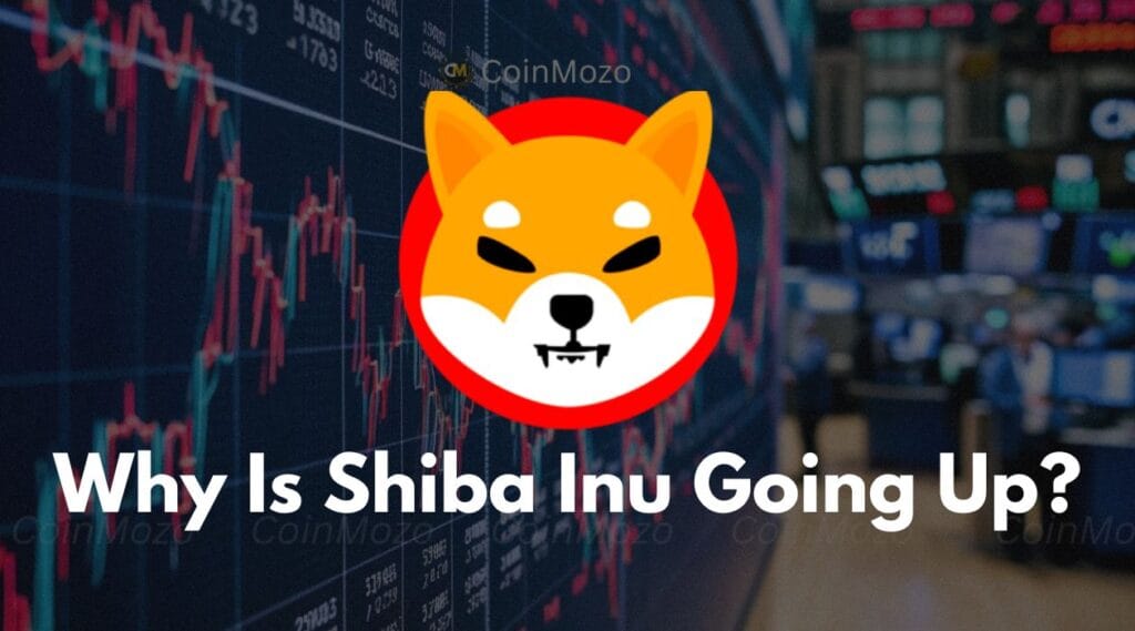 Why Is Shiba Inu Going Up? Surges 10%, Hiting 2-Month High 1 crypto news