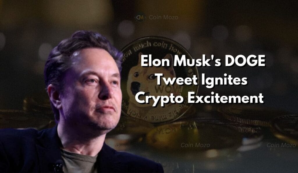 Elon Musk's Latest DOGE Tweet Sparks Excitement in Crypto Community 1 crypto news