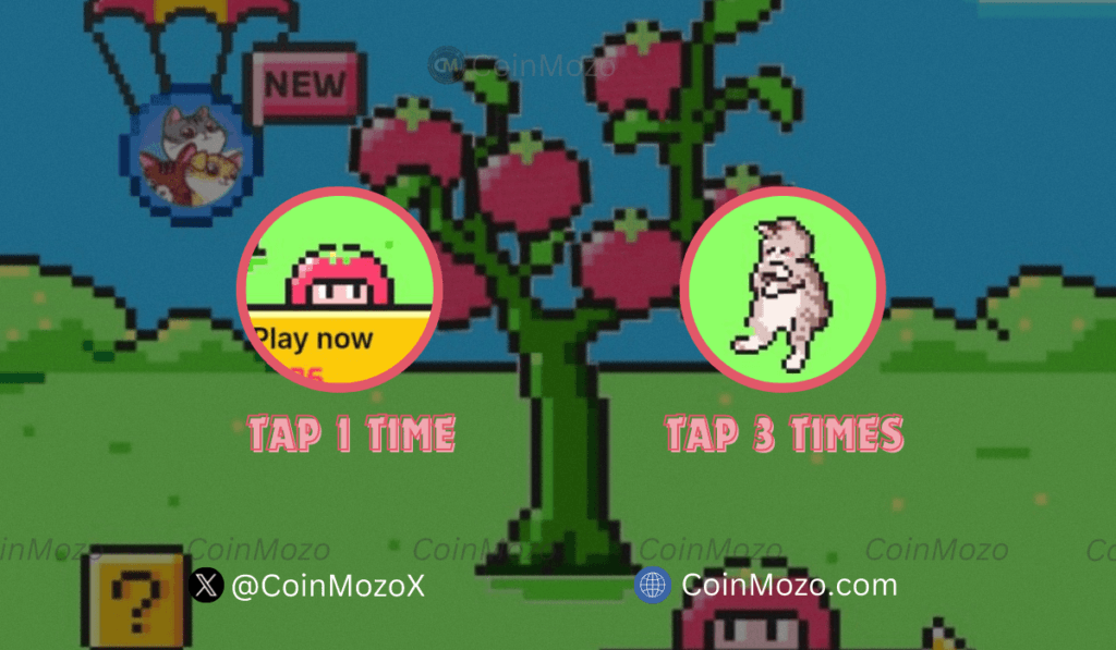TOMARKET Daily Combo for 15th October, Get Bonus $2500 $TOMATO Tokens 1 crypto news