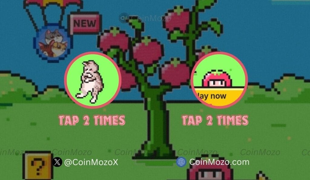 TOMARKET Daily Combo for 3rd October, Get Bonus $2500 $TOMATO Tokens 1 crypto news