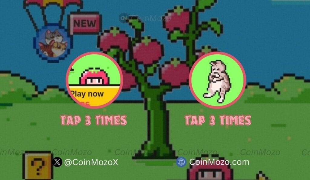 TOMARKET Daily Combo for 14th October, Get Bonus $2500 $TOMATO Tokens 1 crypto news