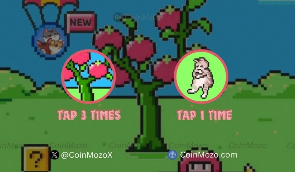 TOMARKET Daily Combo for 10th October, Get Bonus $2500 $TOMATO Tokens 1 crypto news