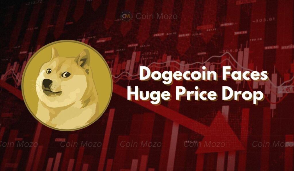 Dogecoin Price Faces New Challenges After Whale Moves 118M