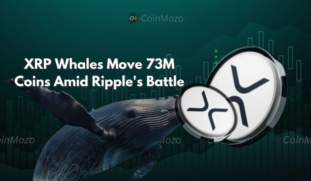 XRP Whales Move 73M Coins: Is This a Warning Sign Amid Ripple's Legal Battle? 1 crypto news