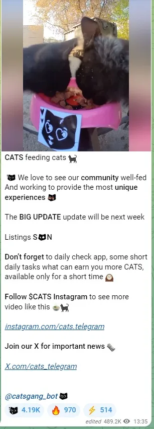CATS Airdrop Video Code: Guide To Earn Free 500 $CATS 3 crypto news
