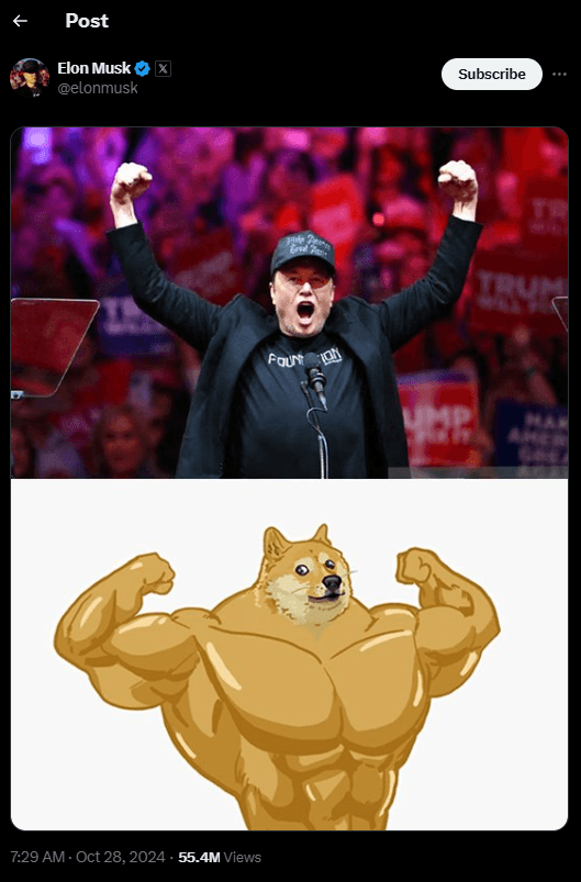 Elon Musk's Latest DOGE Tweet Sparks Excitement in Crypto Community 2 crypto news