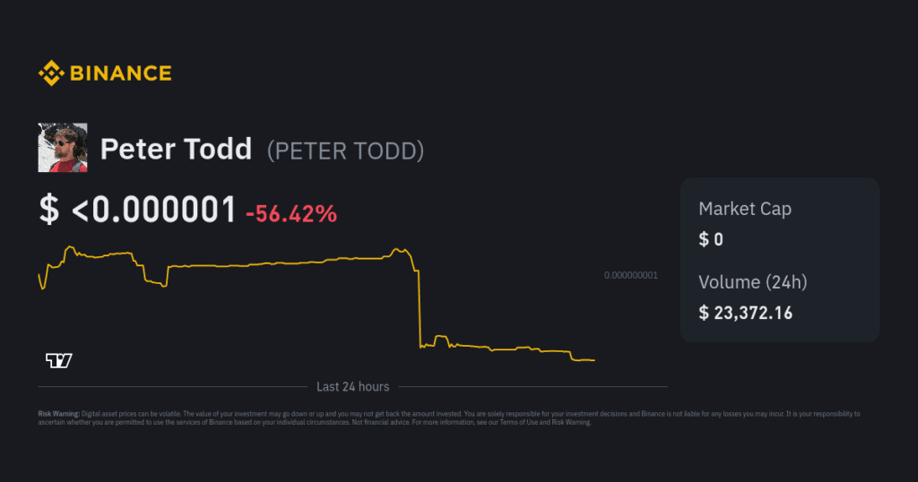 Unraveling the Satoshi Nakamoto Mystery: What’s Peter Todd Net Worth? 4 crypto news