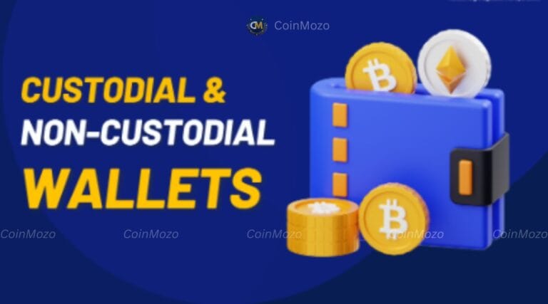 Custodial and Non-Custodial Wallets