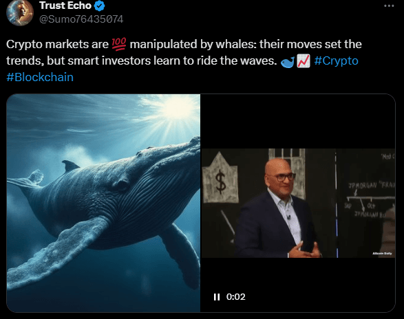How Do Whales Influence The Crypto Market? Understanding Their Impact 2 crypto news