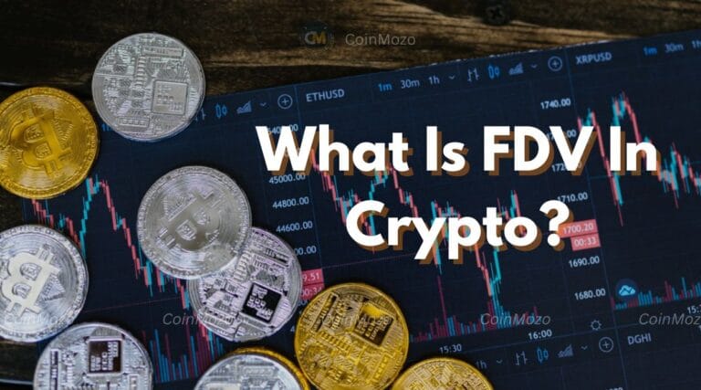 FDV in Crypto?