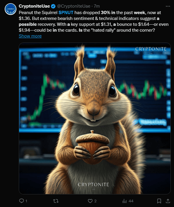 PNUT Price Declines 30% in Just One Week: Is a Comeback Possible? 3 crypto news