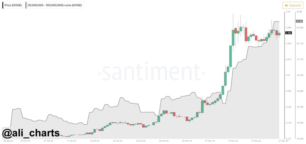 Dogecoin Price Prediction: $2.4 Might Be Just the Beginning Thanks to Elon Musk 2 crypto news