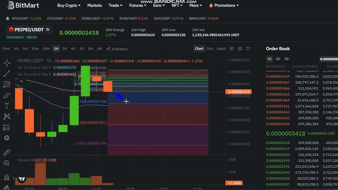 PeiPei Market Cap & Top Holders Revealed: Can This Meme Coin Go to the Moon? 3 crypto news