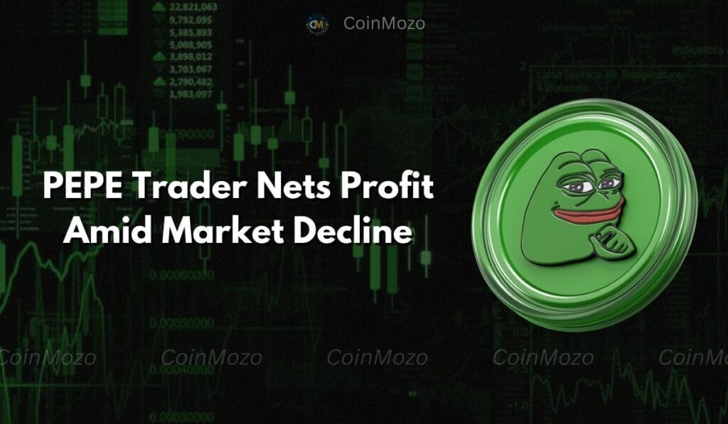PEPE Investor Beat the Odds and Made Millions During a Dip: Strategy Exposed 1 crypto news