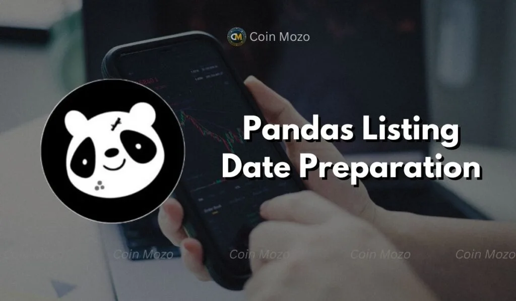 Pandas Listing Date on December 25th: How to Prepare Before the Countdown Ends! 1 crypto news