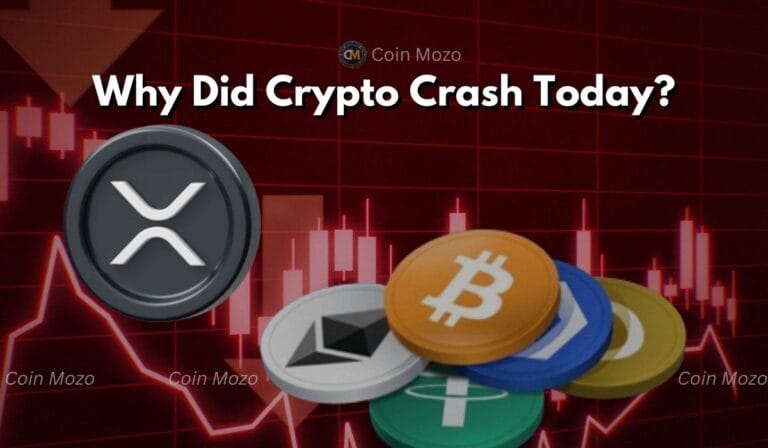 Why did crypto crash today