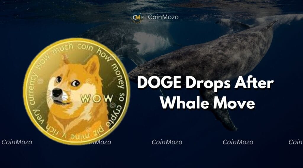 DOGE Price Drops 12% After Whale Moves $59 Million – What’s Next? 1 crypto news