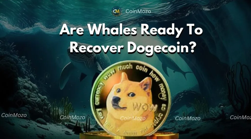 Dogecoin's 32% Drop: Can Whales Lead The Recovery? 1 Dogecoin